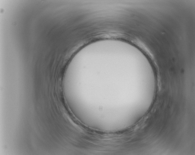 X0000061140105200512091944