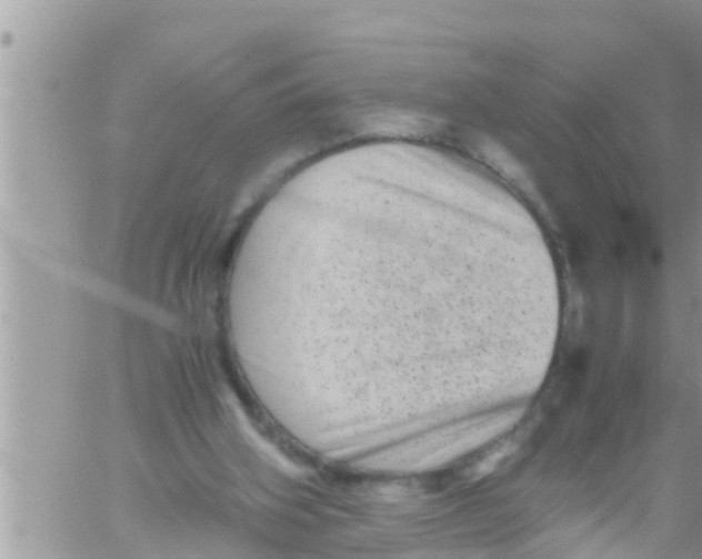 X0000061140106200512091944