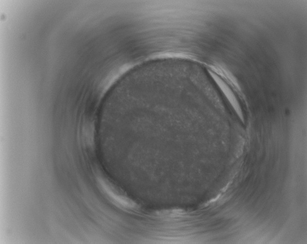 X0000061140108200512091944