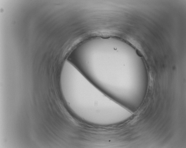 X0000061140109200512091944