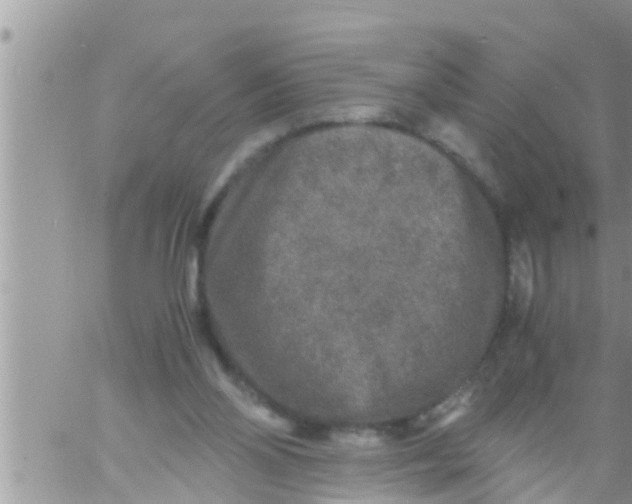 X0000061140110200512091944