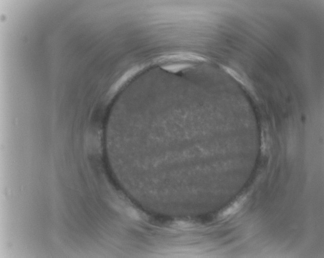 X0000061140111200512091944