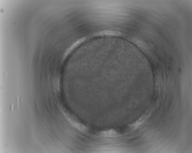 X0000061140112200512091944