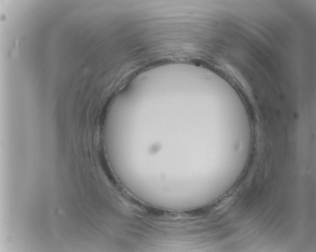 X0000061140113200512091944