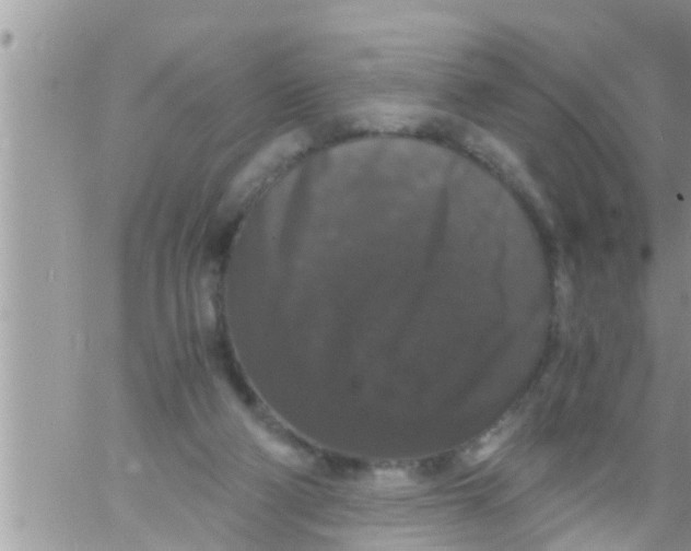 X0000061140114200512091944