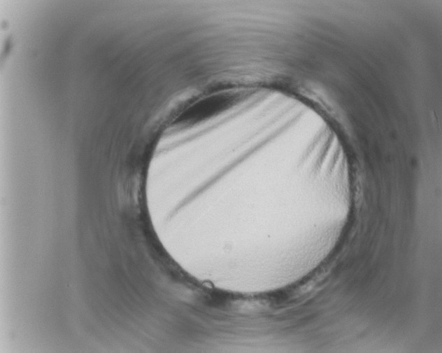 X0000061140115200512091944