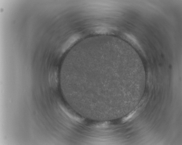 X0000061140116200512091944