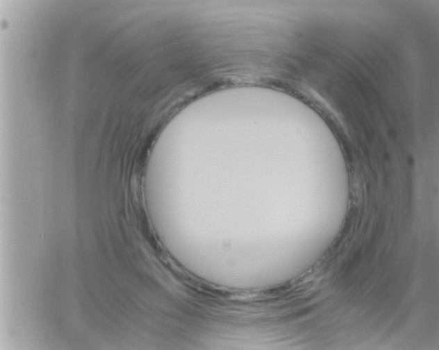 X0000061140117200512091944