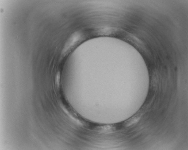 X0000061140118200512091944