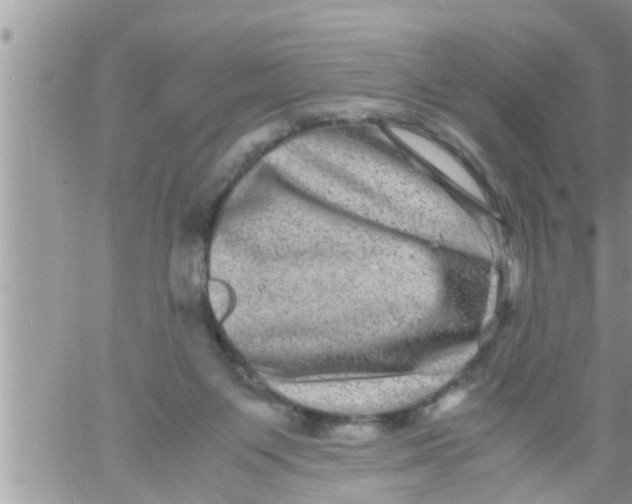 X0000061140119200512091944