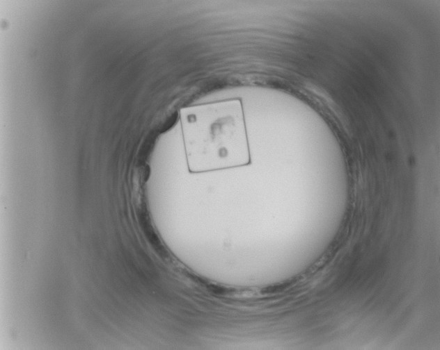 X0000061140121200512091943