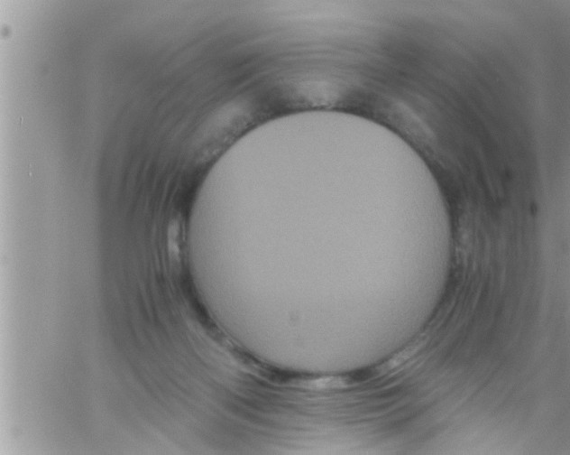 X0000061140122200512091943