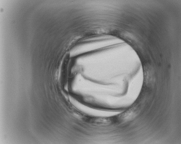 X0000061140123200512091943