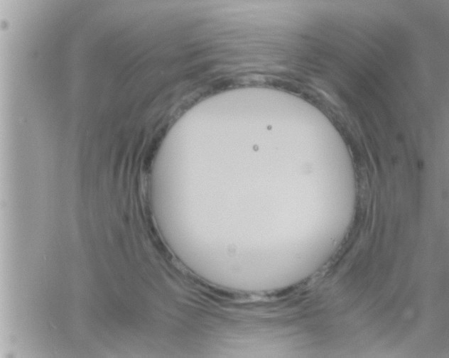 X0000061140125200512091943