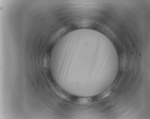 X0000061140126200512091943