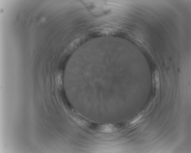 X0000061140127200512091943