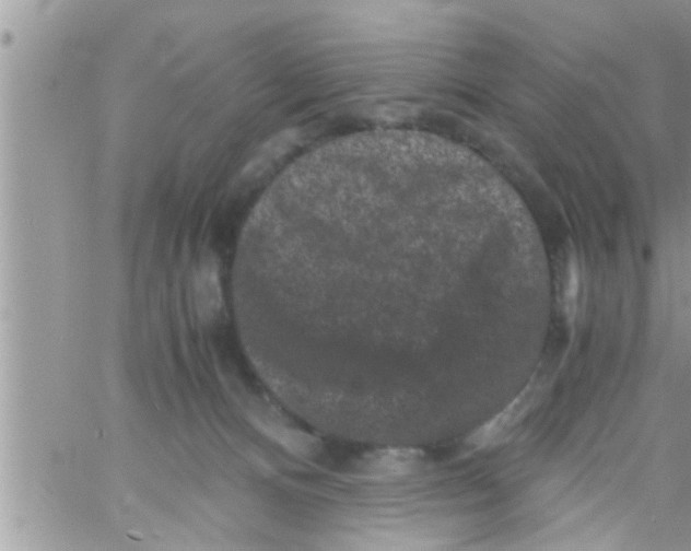 X0000061140128200512091943