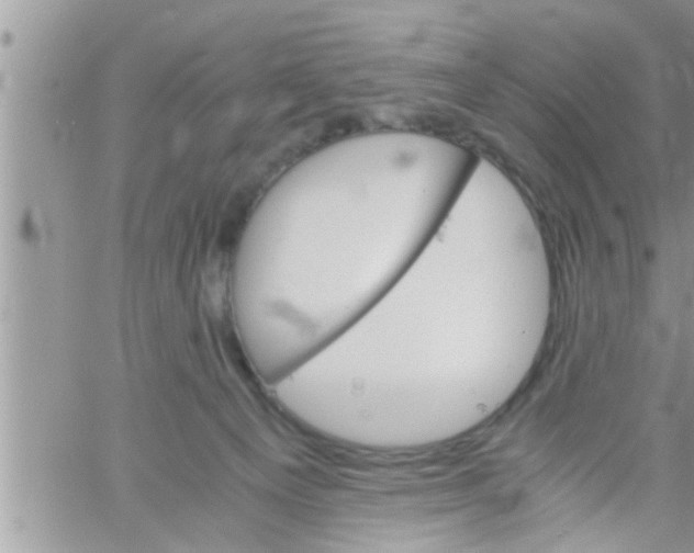 X0000061140129200512091943