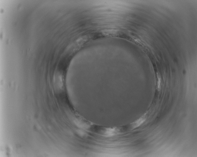 X0000061140130200512091943