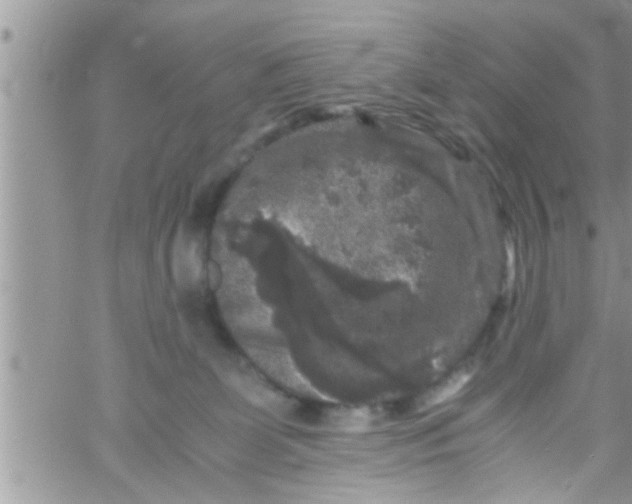 X0000061140131200512091943