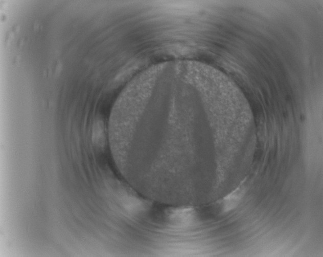 X0000061140132200512091943