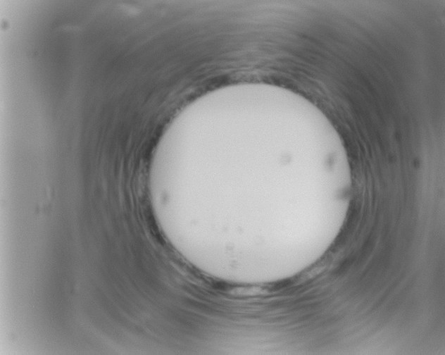 X0000061140133200512091943