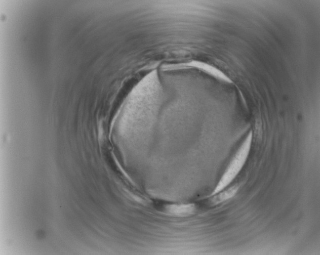 X0000061140135200512091943