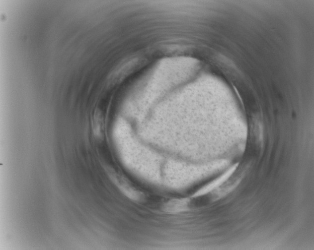 X0000061140138200512091943