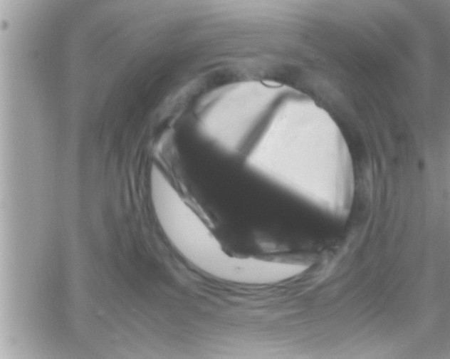 X0000061140139200512091943