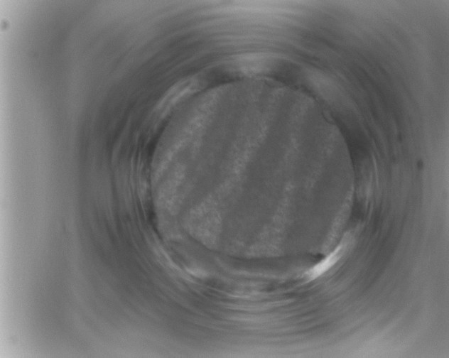 X0000061140140200512091943