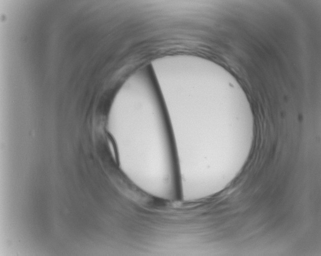 X0000061140141200512091943