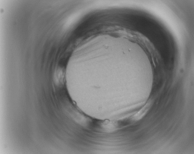 X0000061140142200512091943