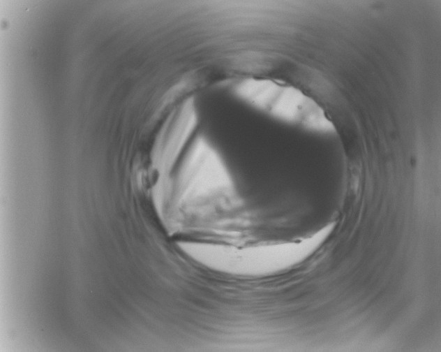 X0000061140143200512091943