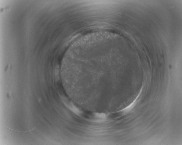 X0000061140144200512091943