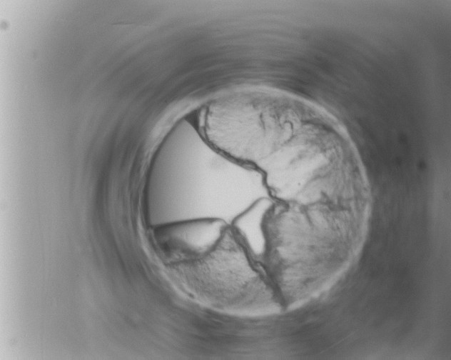 X0000061140145200512091942