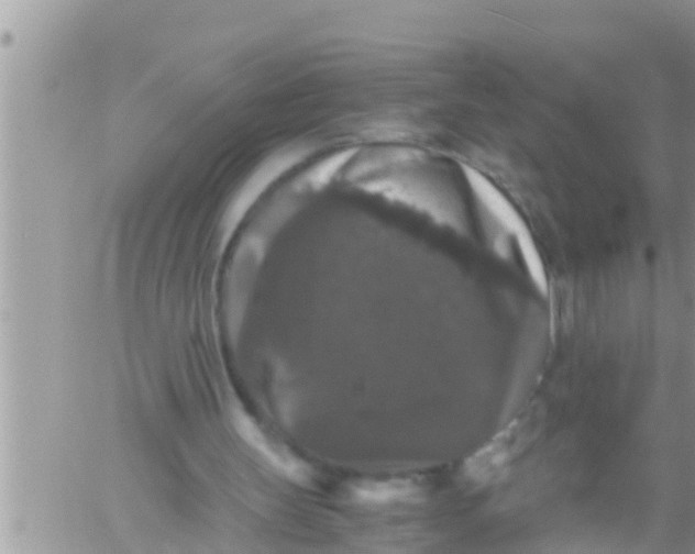 X0000061140147200512091942