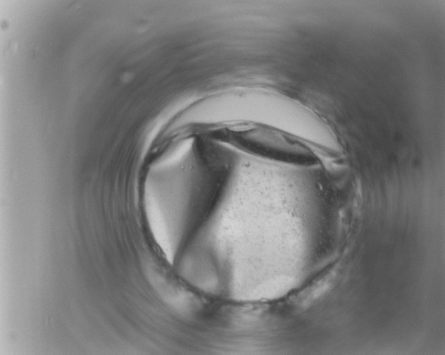 X0000061140148200512091942