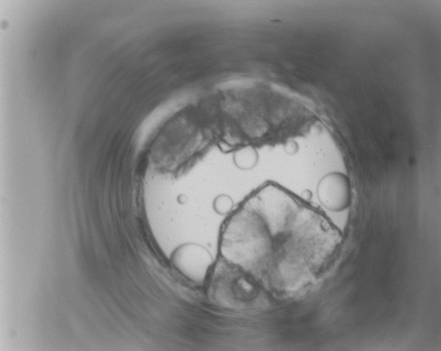 X0000061140149200512091942