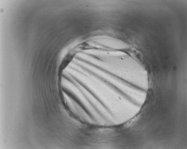 X0000061140150200512091942