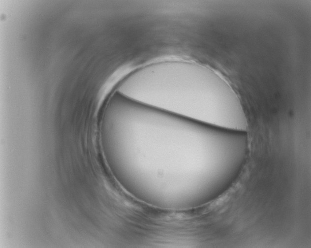 X0000061140152200512091942