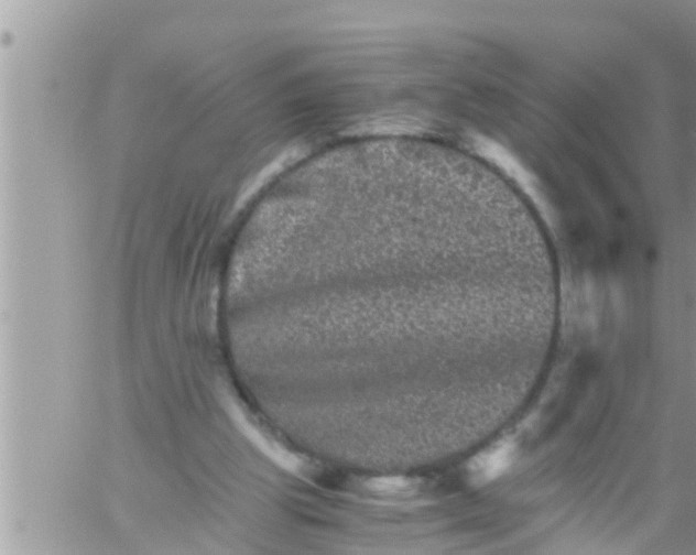 X0000061140153200512091942