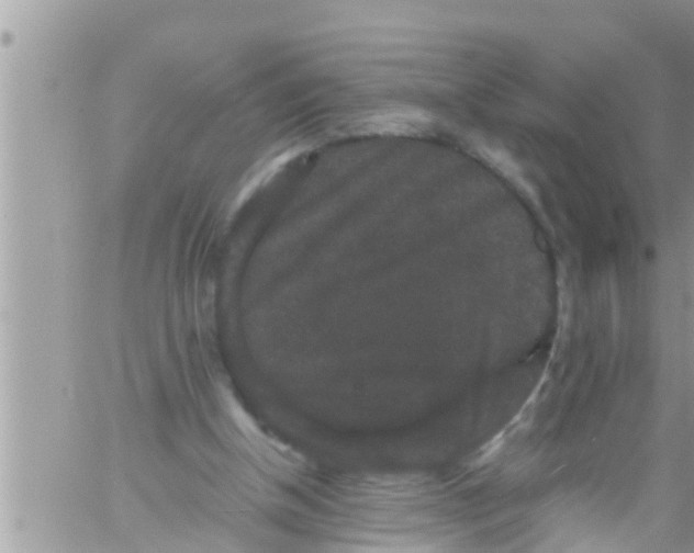 X0000061140154200512091942