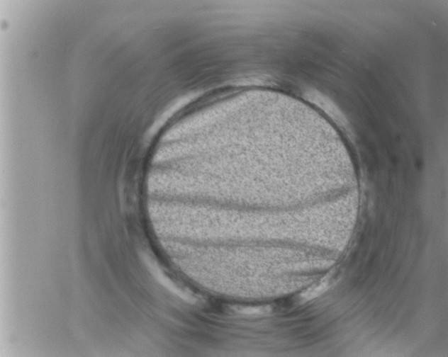 X0000061140155200512091942