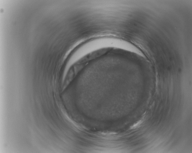 X0000061140156200512091943