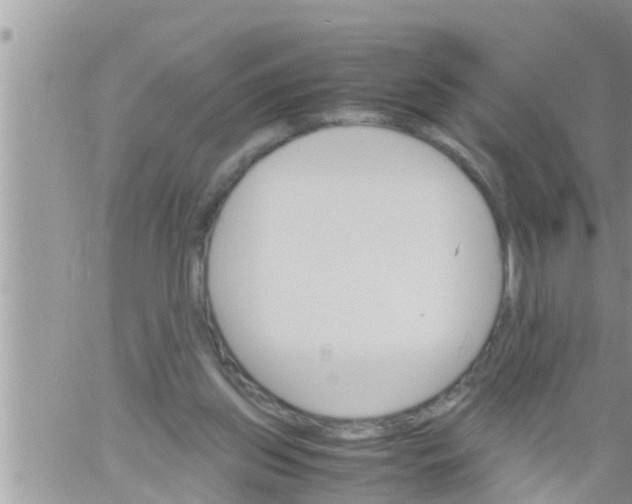 X0000061140157200512091943