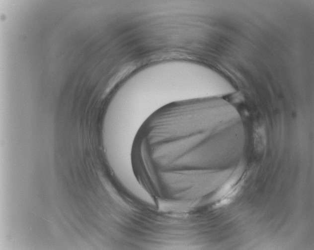 X0000061140158200512091943