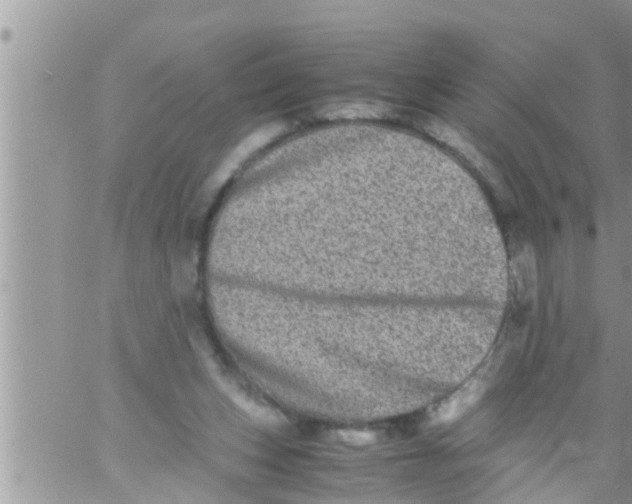 X0000061140159200512091943