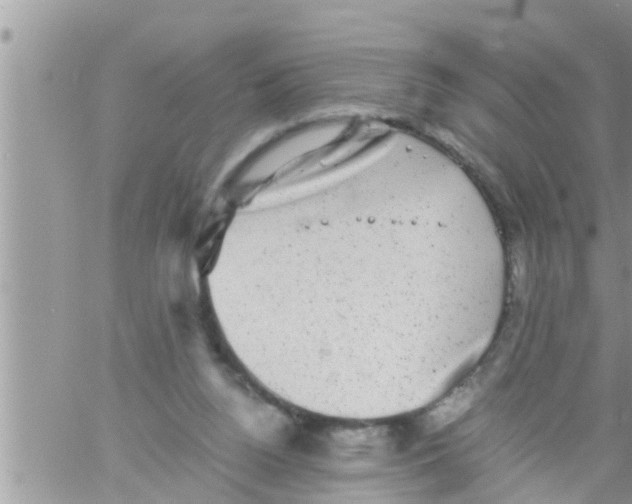 X0000061140160200512091943