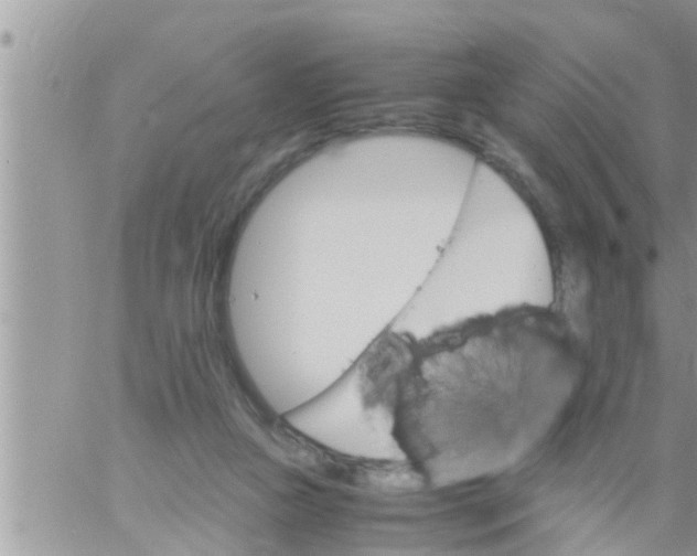 X0000061140161200512091943