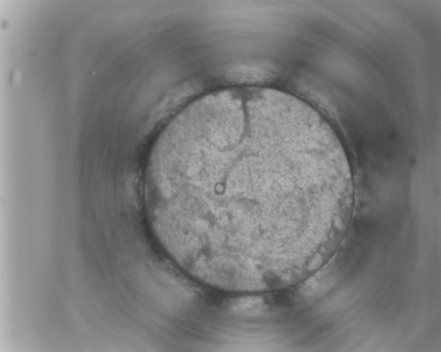 X0000061140162200512091943